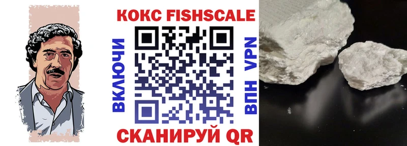 Купить  Дальнегорск  COCAIN FishScale 